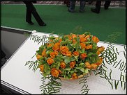 www.floristic.ru - . Elso Post ( )