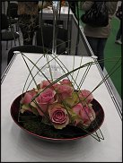 www.floristic.ru - . Elso Post ( )