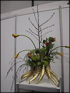 www.floristic.ru - . Jan Artsen (  )