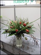 www.floristic.ru - . Jan Artsen (  )