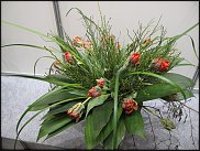 www.floristic.ru - . Jan Artsen (  )