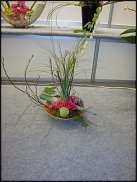 www.floristic.ru - . Jan Artsen (  )