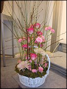 www.floristic.ru - . Elso Post ( )