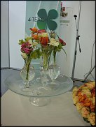 www.floristic.ru - . Elso Post ( )