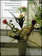 www.floristic.ru - . Elso Post ( )