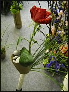 www.floristic.ru - . Elso Post ( )