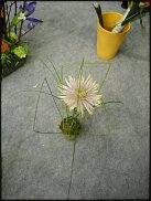 www.floristic.ru - . Elso Post ( )