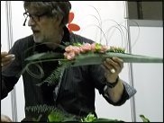 www.floristic.ru - . Jan Artsen (  )