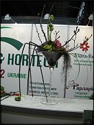 www.floristic.ru - . Jan Artsen (  )