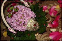 www.floristic.ru - .   ....