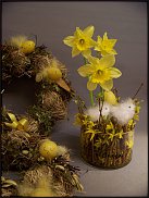 www.floristic.ru - .    -  2012 