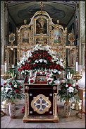 www.floristic.ru - . -  