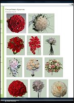 www.floristic.ru - Флористика. Авторское право