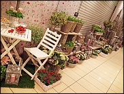 www.floristic.ru - .       - ?