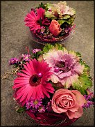 www.floristic.ru - .       - ?