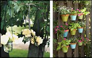 www.floristic.ru - .       - ?