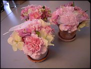 www.floristic.ru - .       - ?