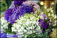 www.floristic.ru - .   ,,...