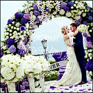 www.floristic.ru - .   ,,...