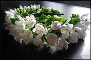 www.floristic.ru - .      