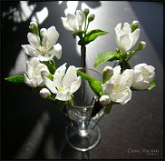 www.floristic.ru - .      