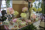 www.floristic.ru - .       - ?