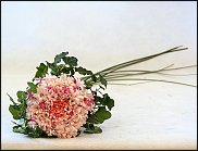 www.floristic.ru - .    -  2012 