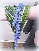 www.floristic.ru - .    -  2012 