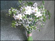 www.floristic.ru - .    -  2012 