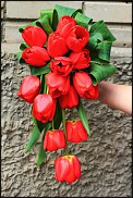 www.floristic.ru - .  .