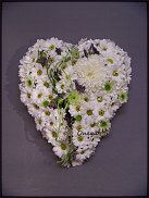 www.floristic.ru - .  