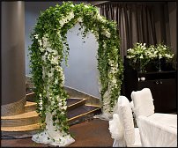 www.floristic.ru - .  