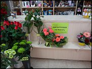 www.floristic.ru - .     ?