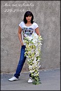 www.floristic.ru - .  .