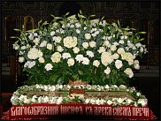 www.floristic.ru - .    