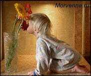 www.floristic.ru - . , !