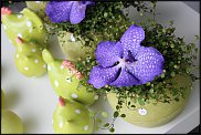 www.floristic.ru - .       - ?