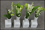 www.floristic.ru - .       - ?