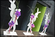 www.floristic.ru - .       - ?