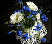 www.floristic.ru - .      