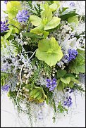 www.floristic.ru - .  .