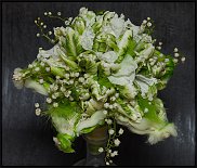 www.floristic.ru - . 