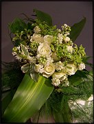 www.floristic.ru - .  .