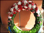 www.floristic.ru - .  ....   .