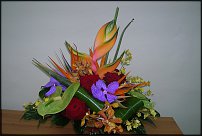 www.floristic.ru - . 