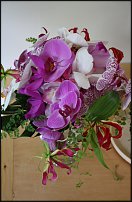 www.floristic.ru - . 