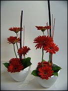 www.floristic.ru - .       - ?