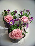 www.floristic.ru - .       ...