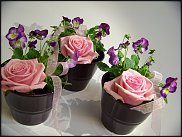 www.floristic.ru - .       ...