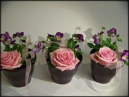 www.floristic.ru - .       ...